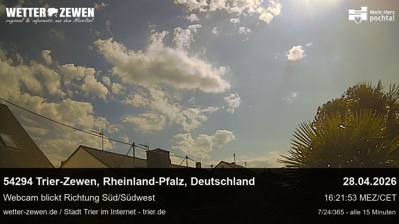 Bild