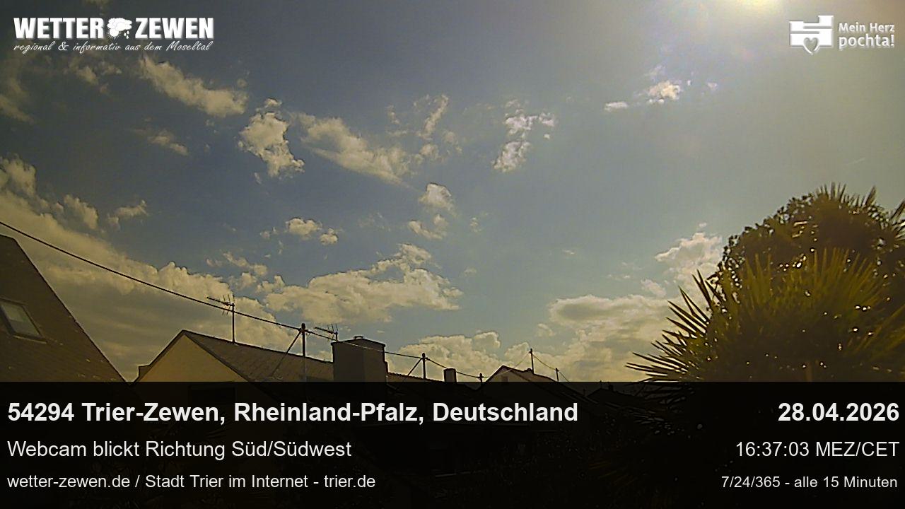 Bild