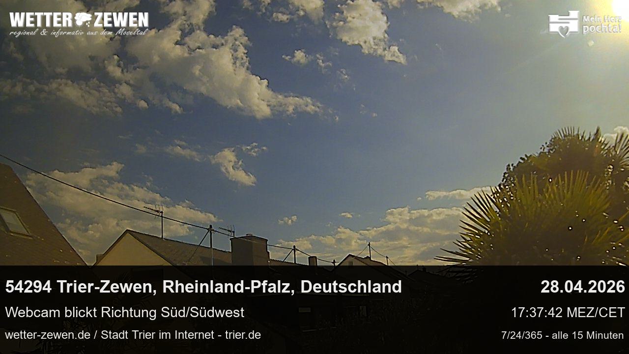 Bild