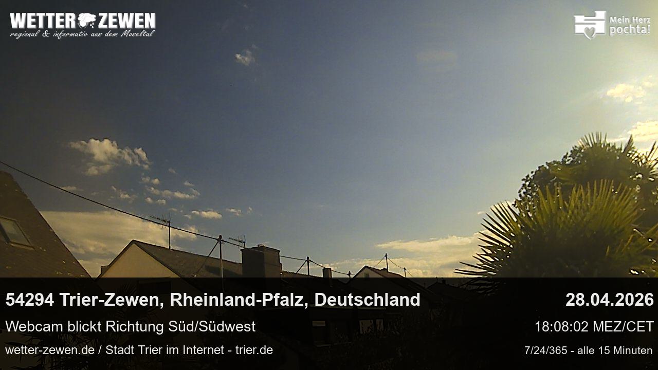Bild