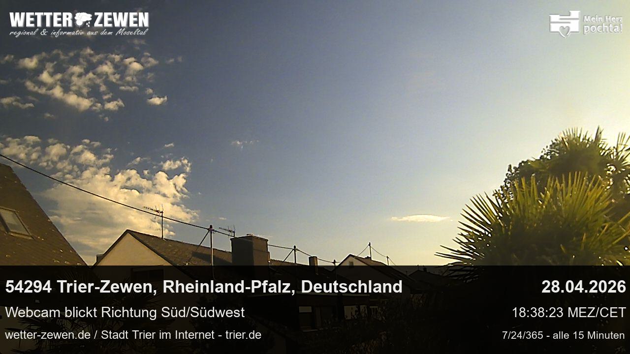 Bild