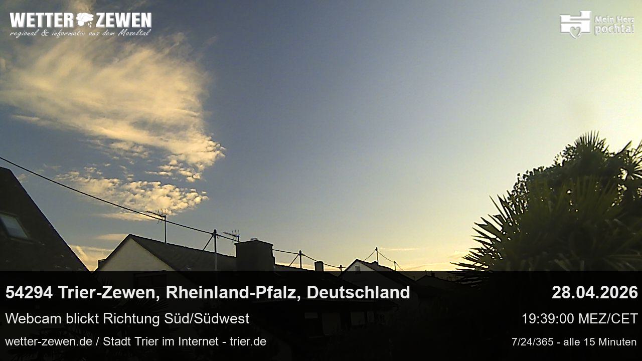 Bild