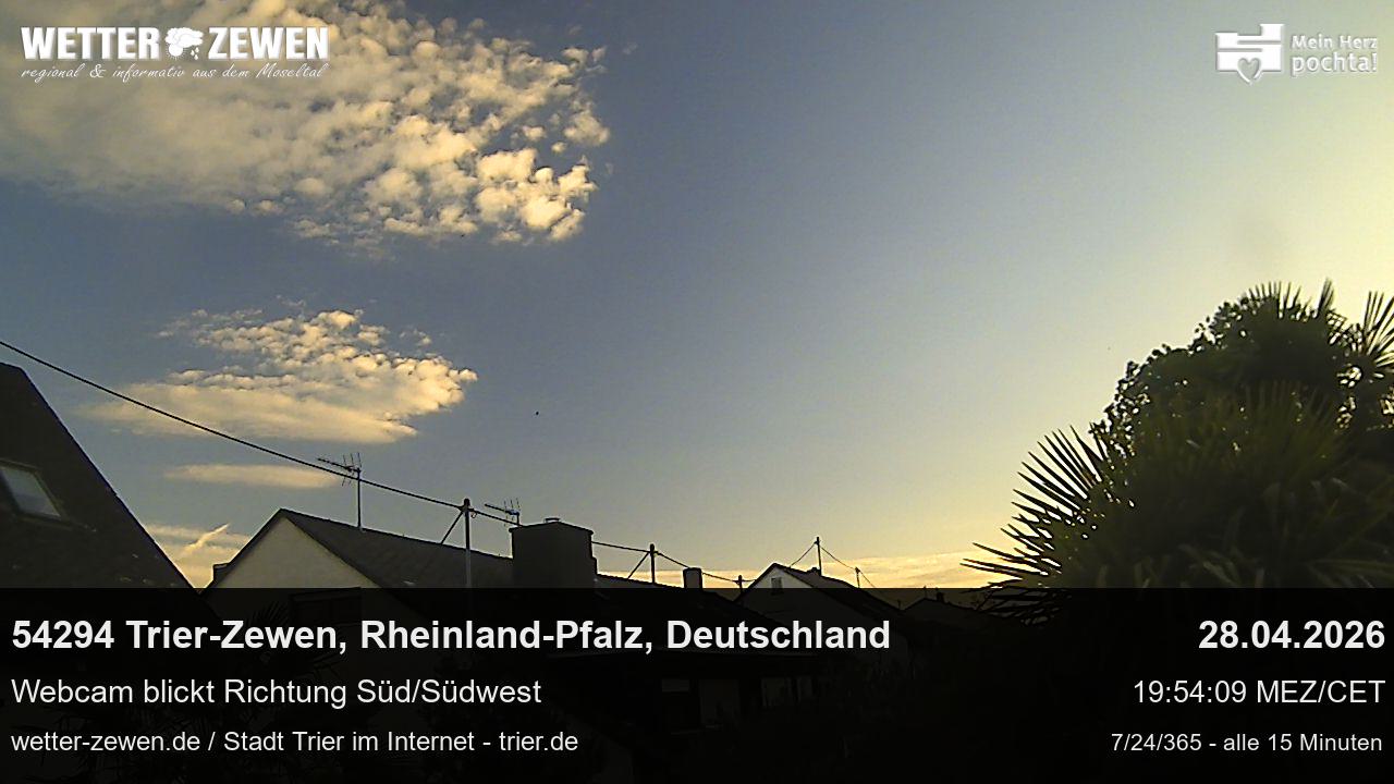 Bild