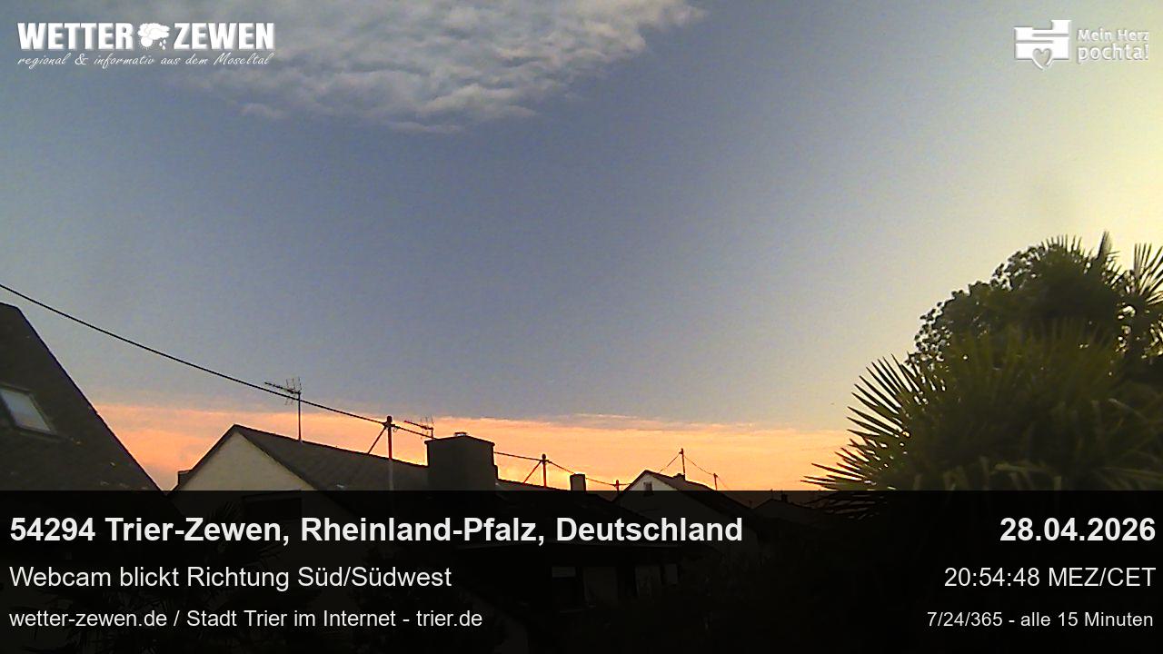 Bild