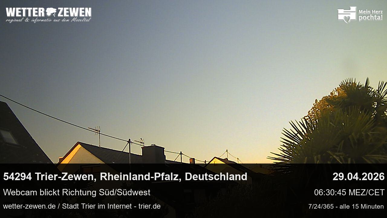 Bild