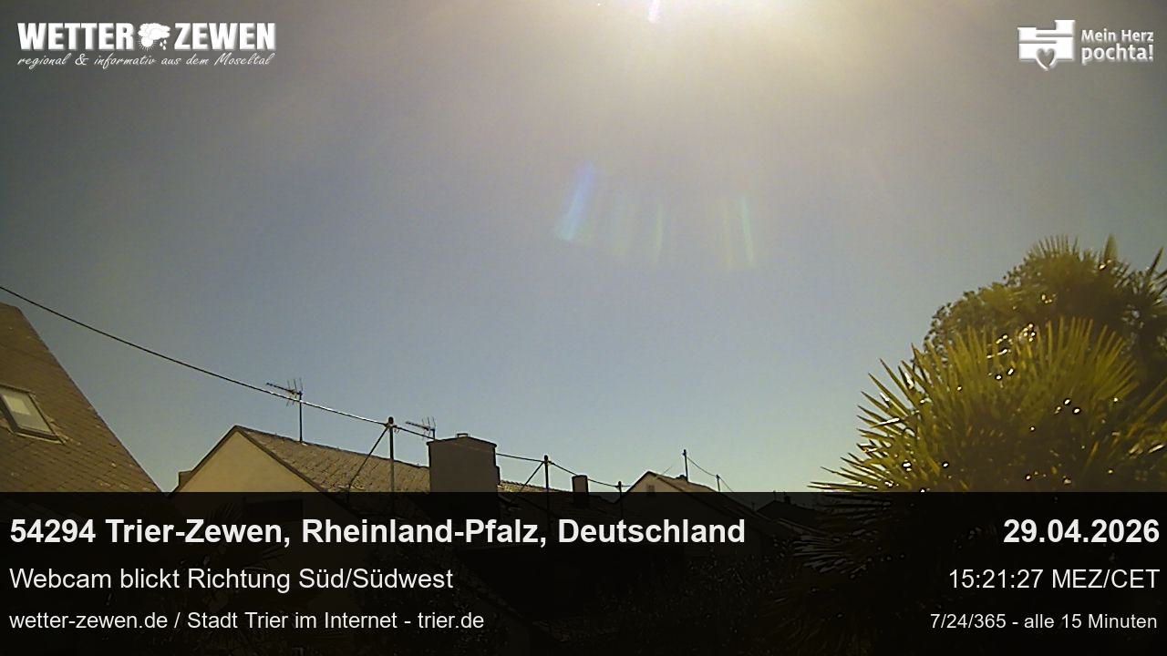 Bild