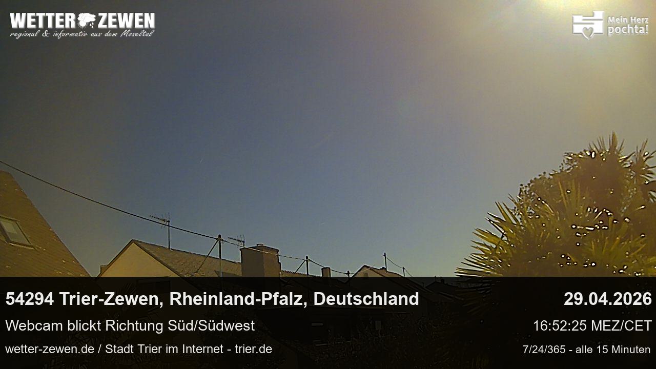 Bild