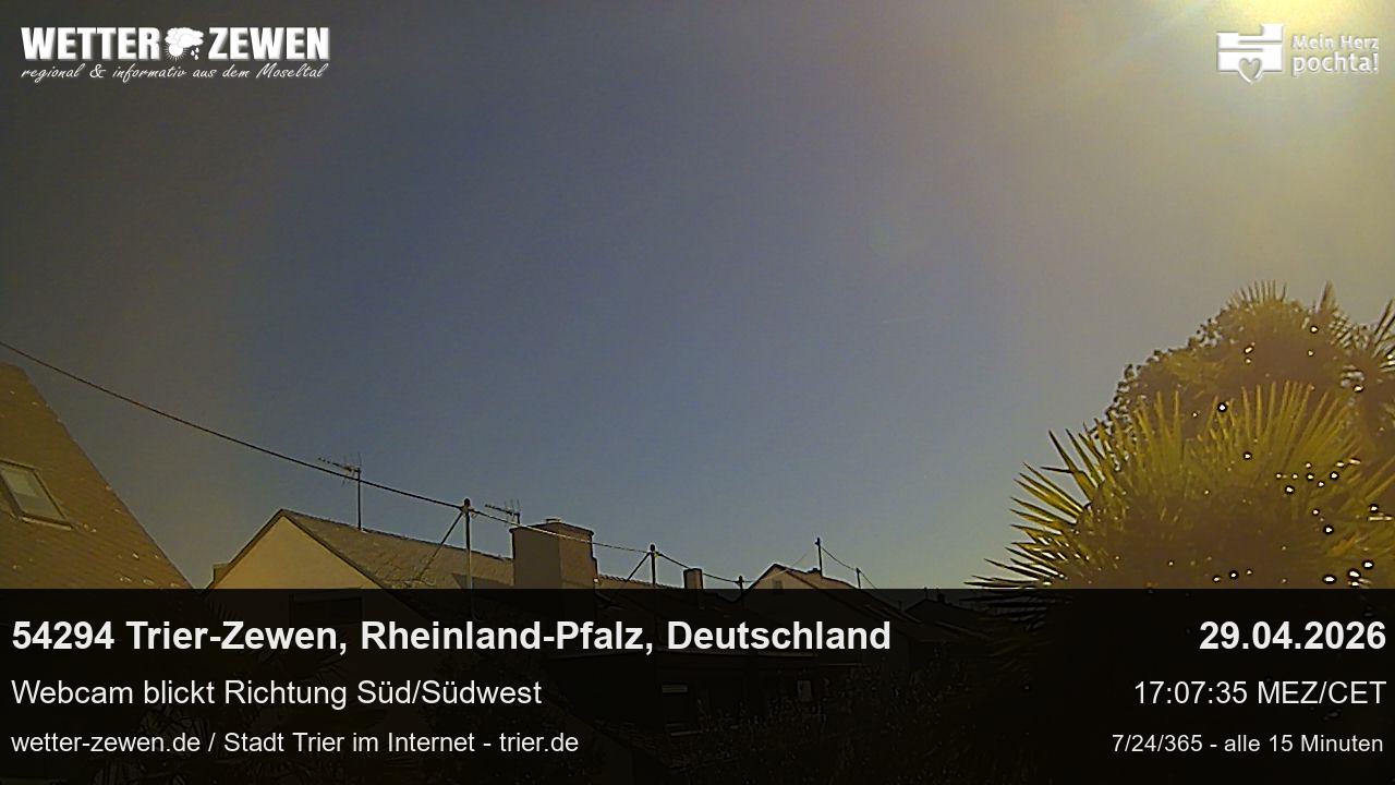 Bild