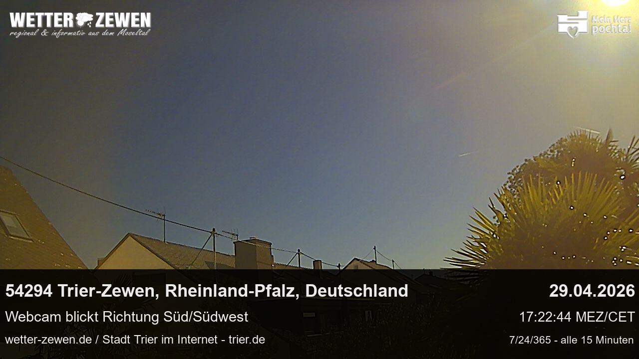 Bild