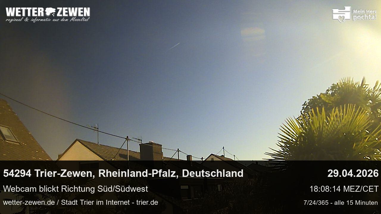 Bild
