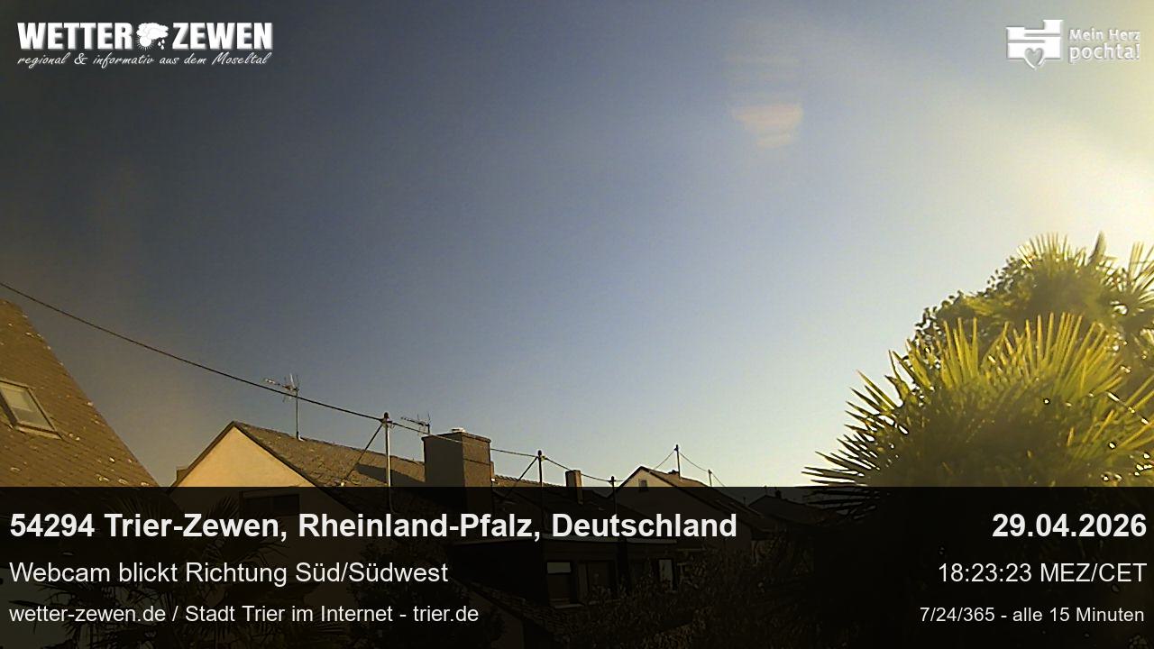 Bild