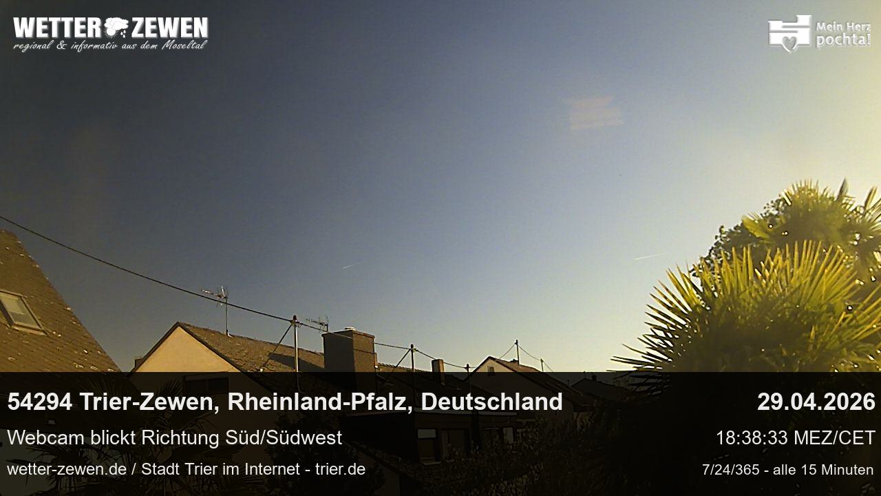 Bild