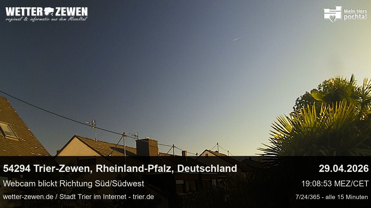 Bild