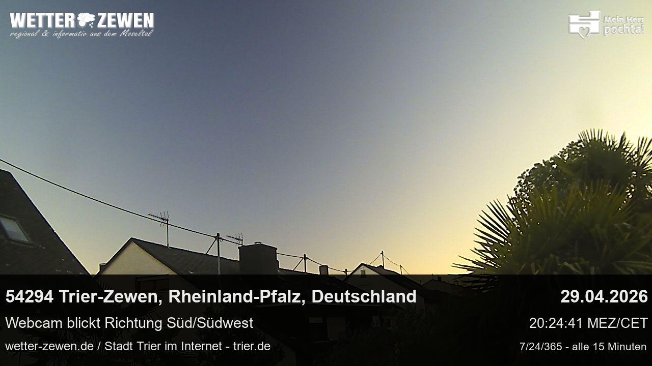 Bild