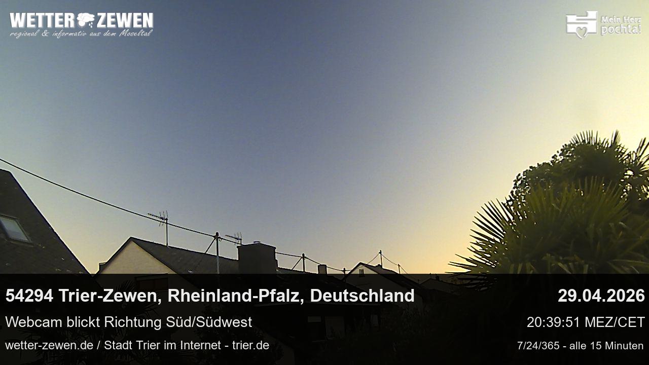 Bild