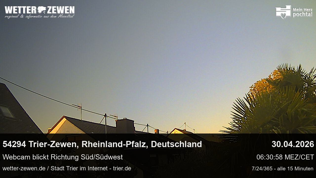 Bild
