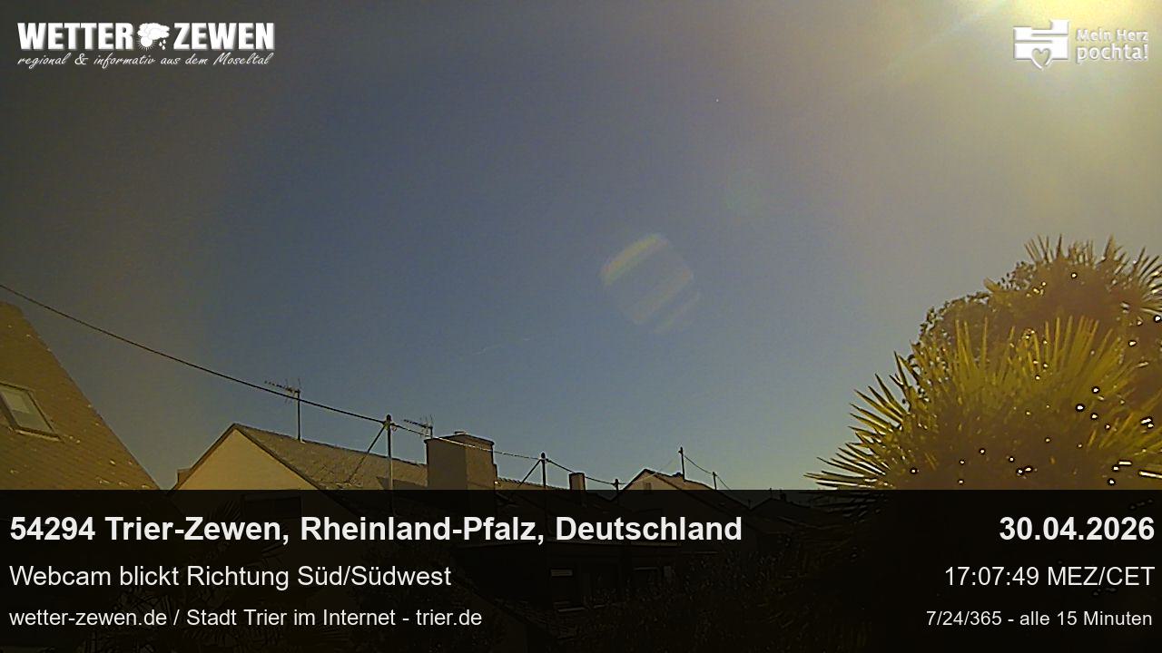 Bild