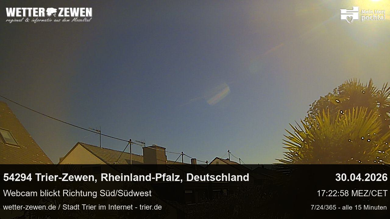 Bild