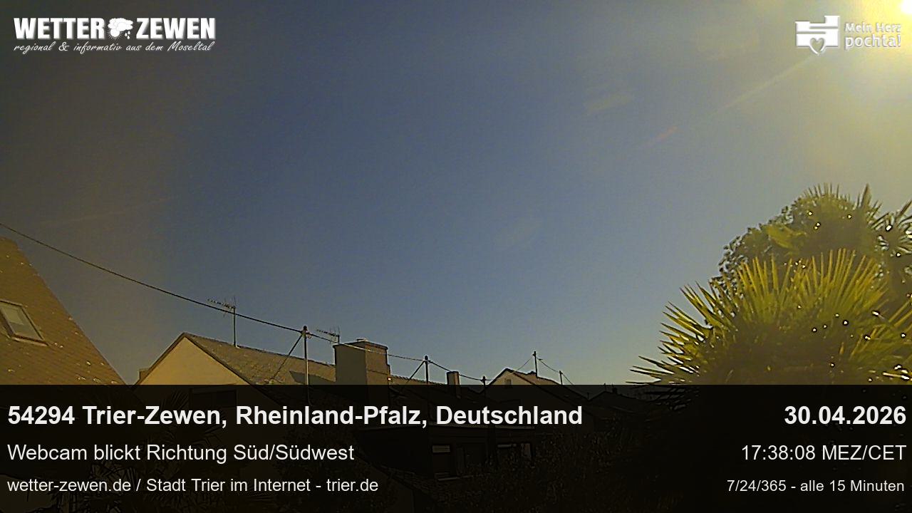 Bild