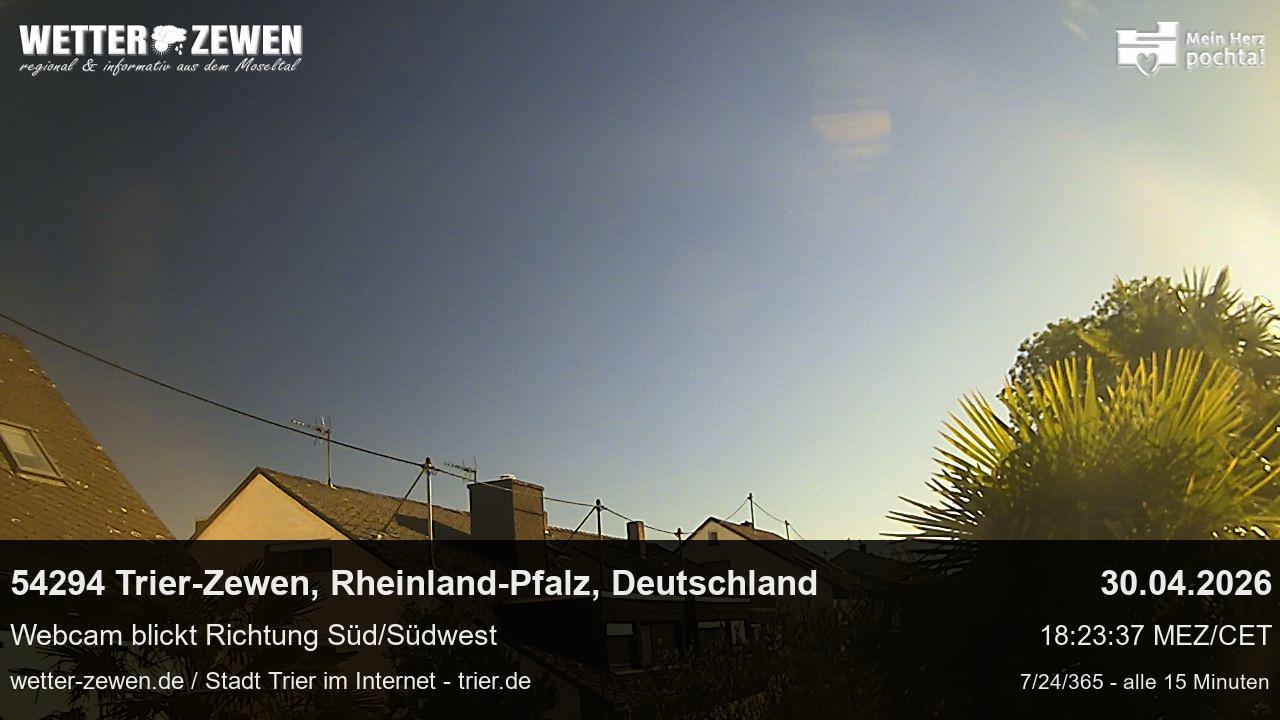 Bild