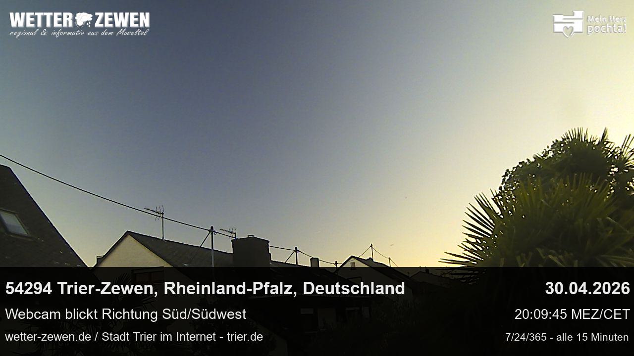 Bild