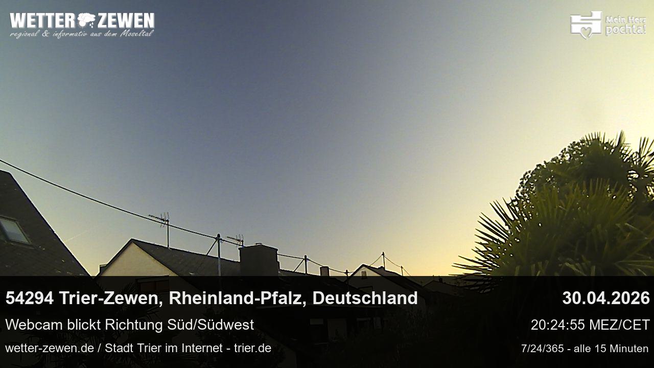 Bild