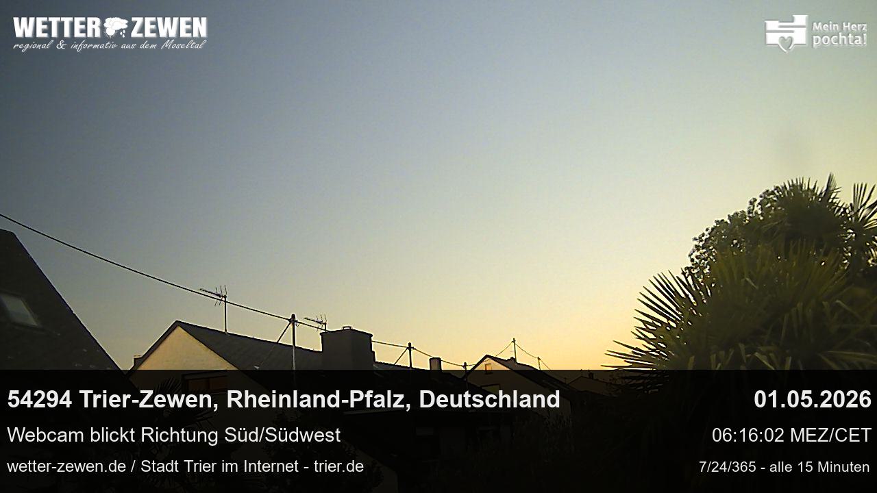 Bild