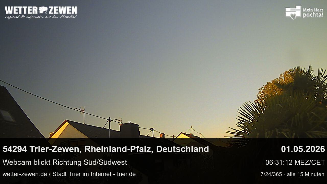 Bild