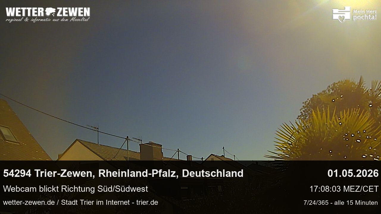 Bild