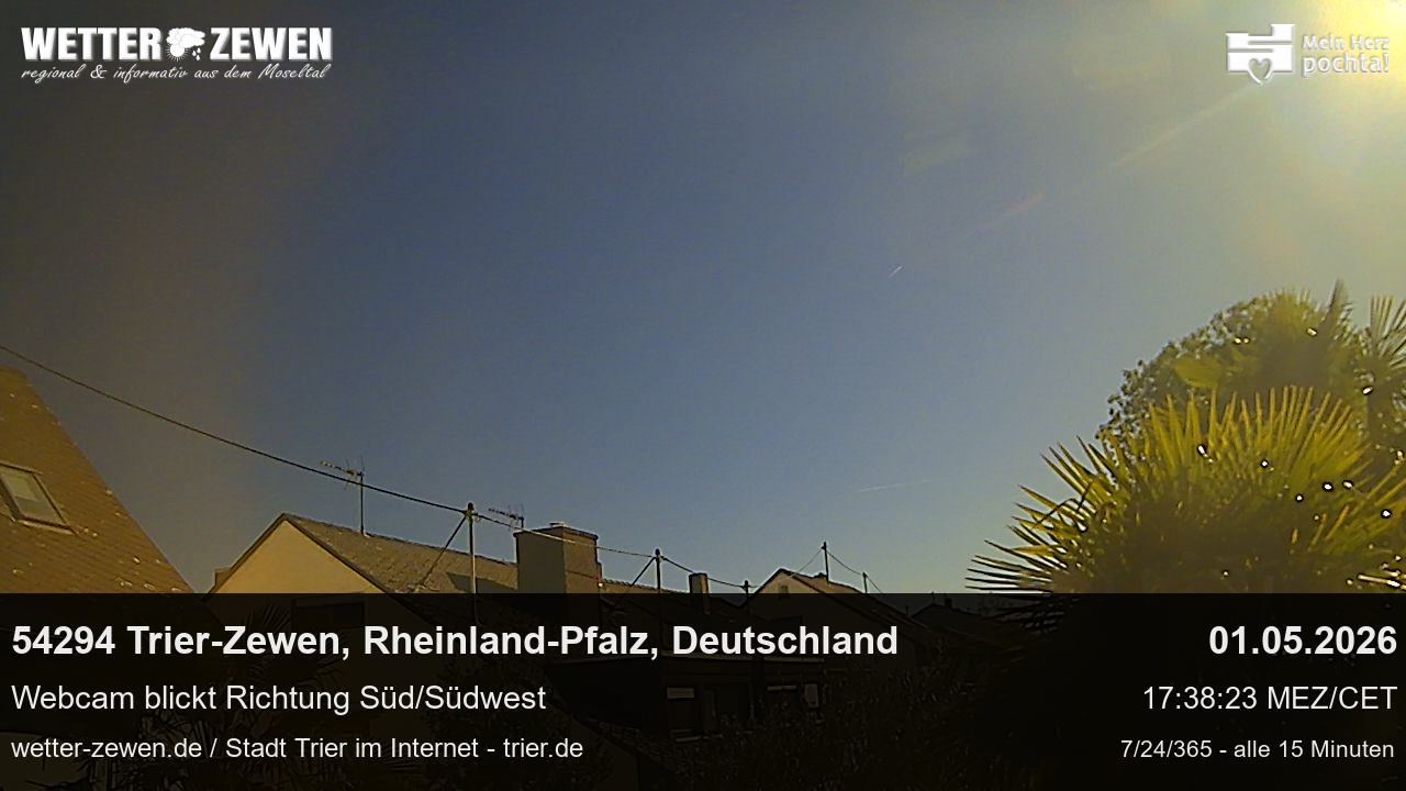 Bild