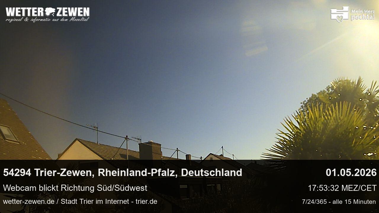 Bild