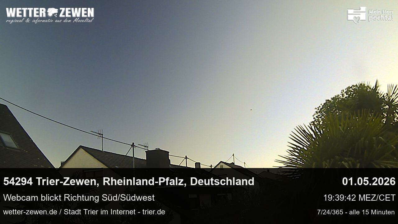 Bild