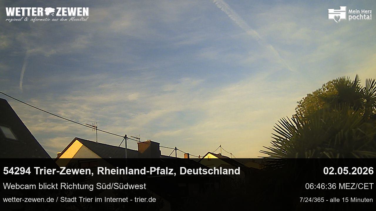 Bild
