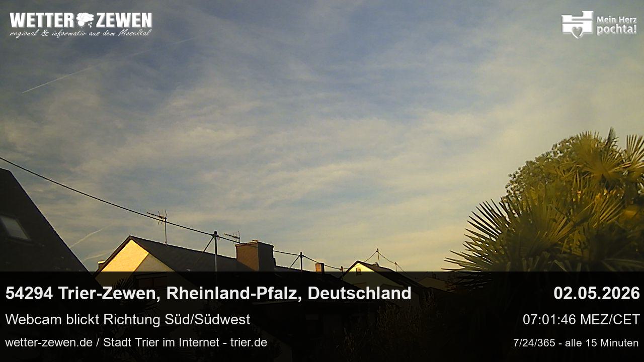 Bild