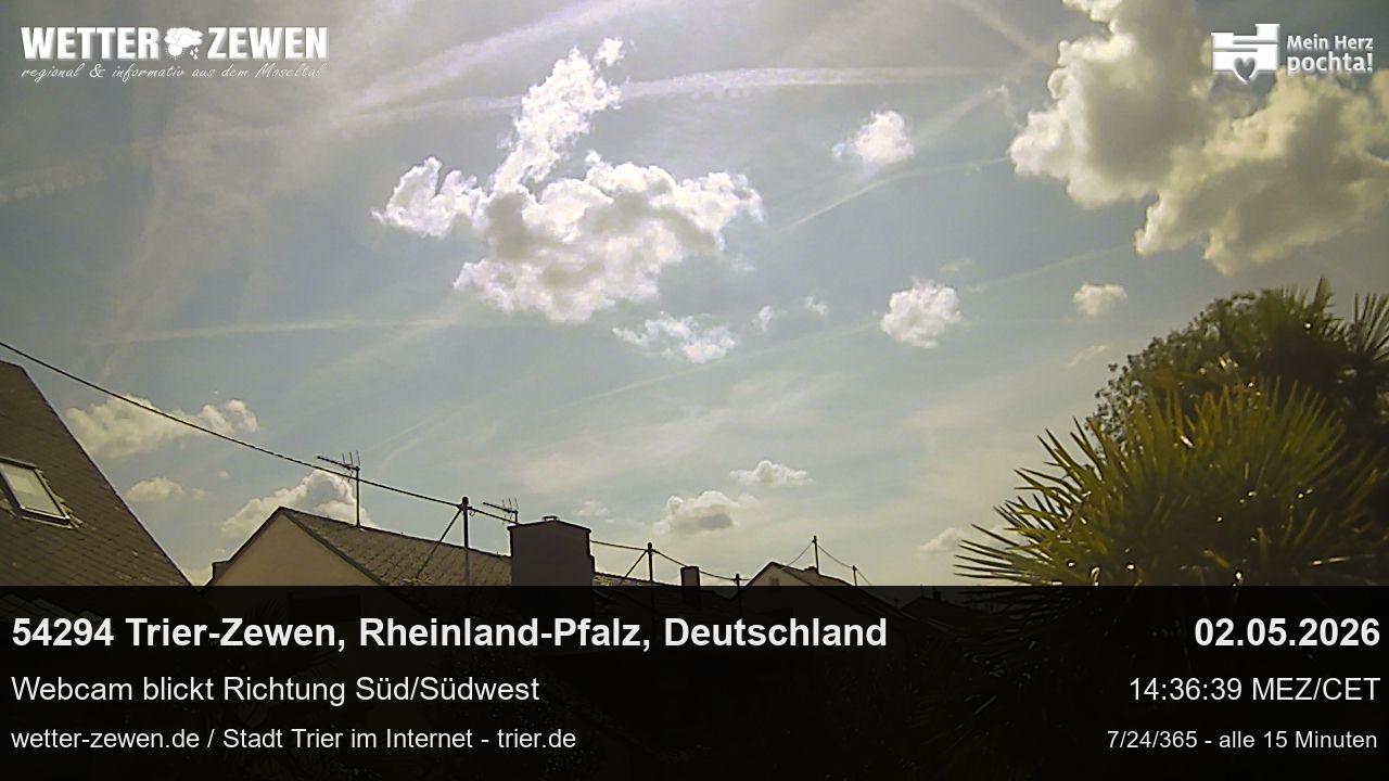 Bild