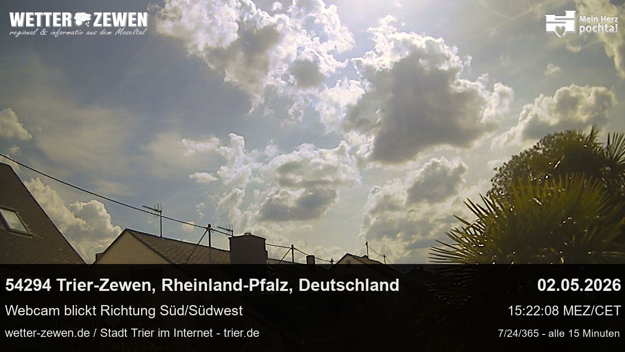 Bild
