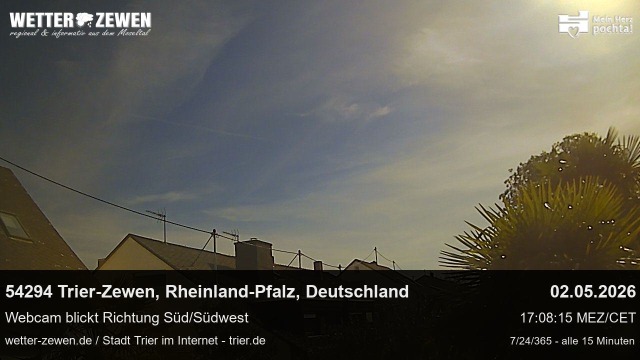 Bild