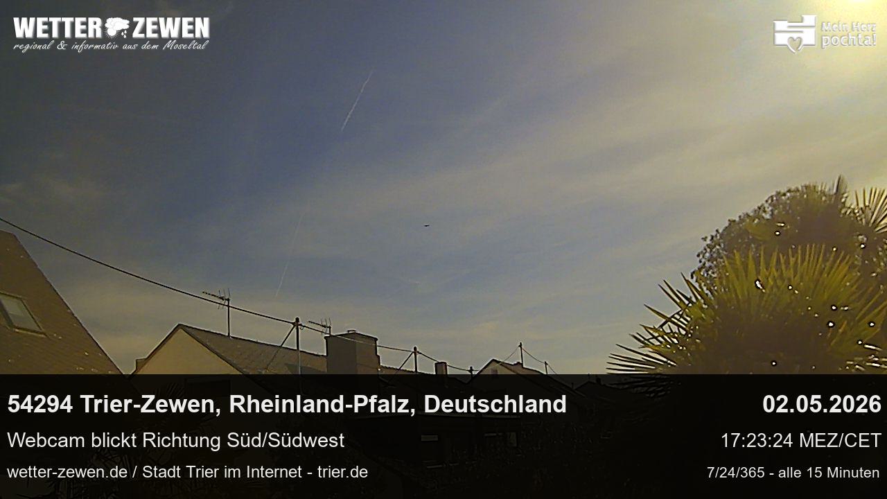 Bild