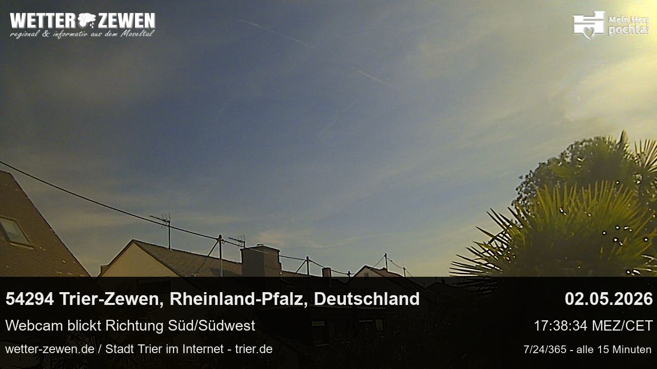 Bild