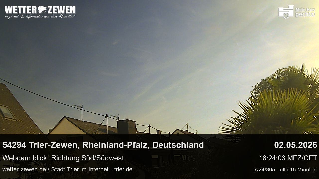 Bild