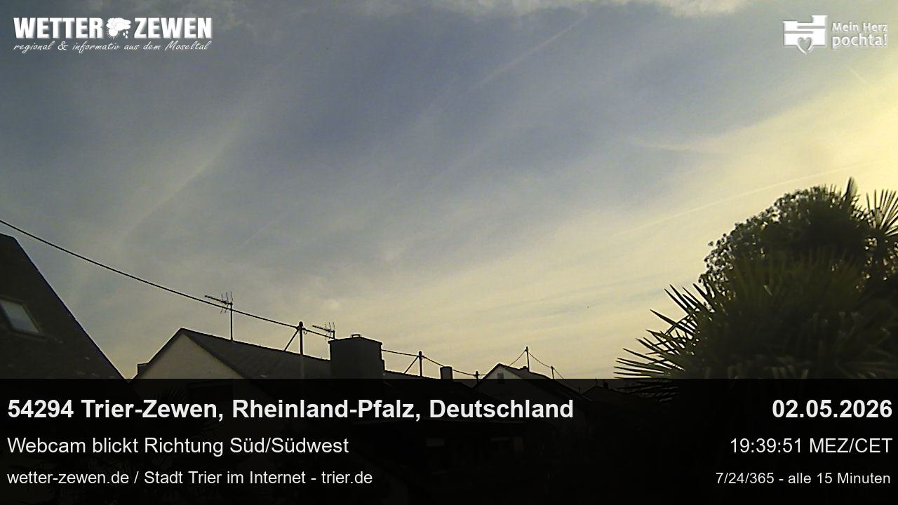 Bild