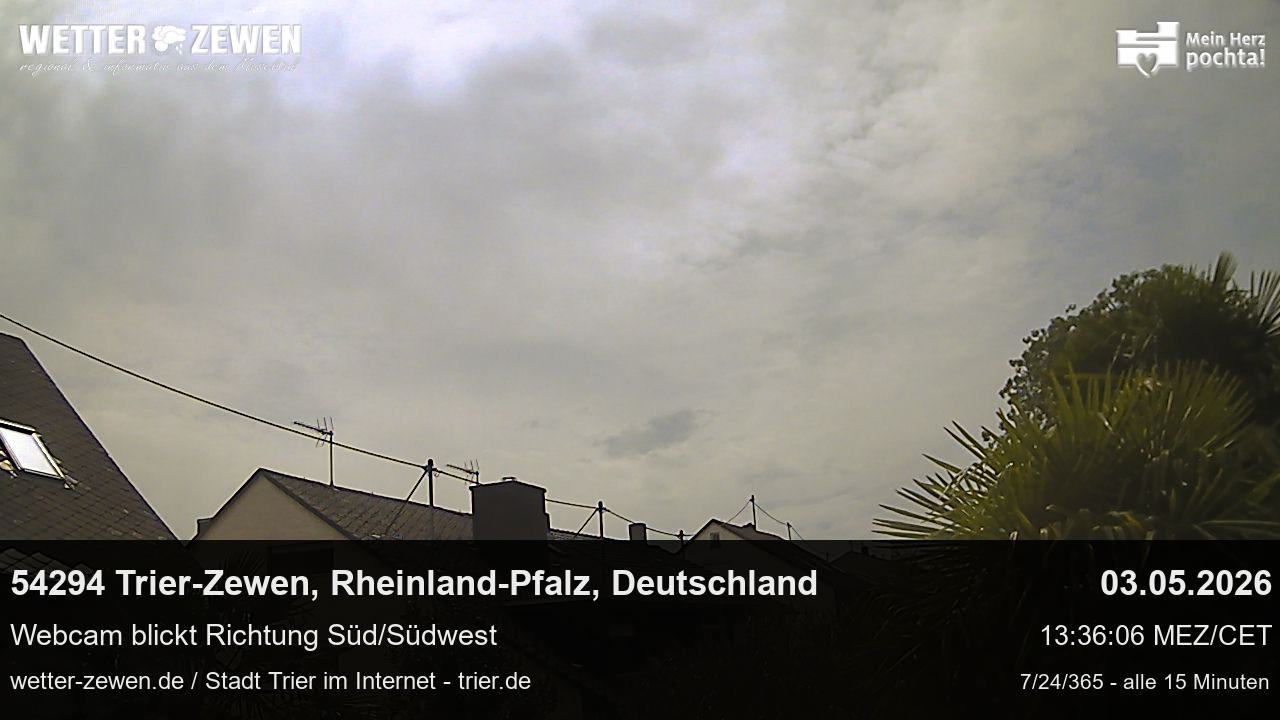 Bild