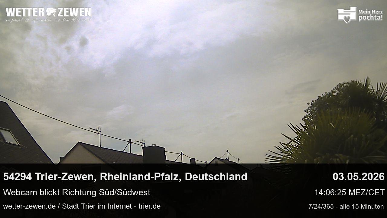 Bild