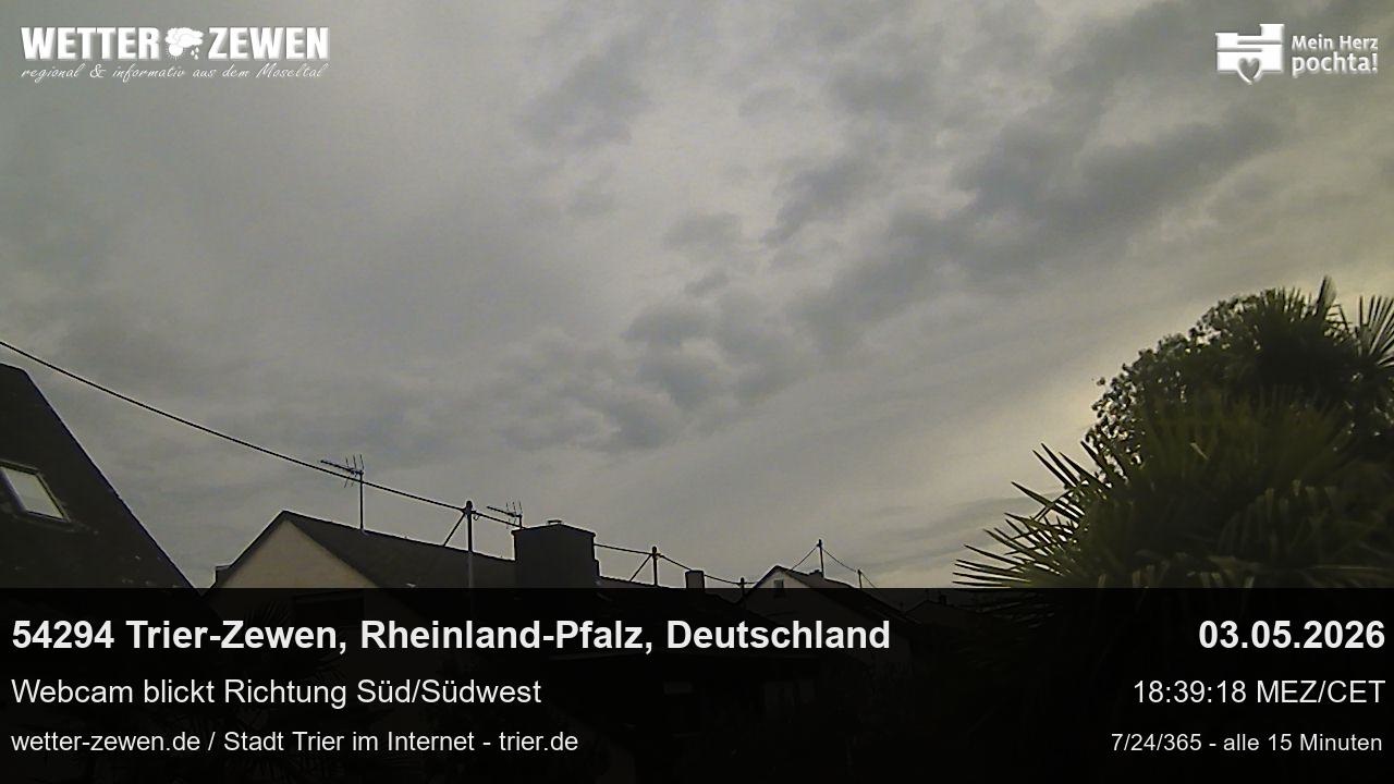 Bild