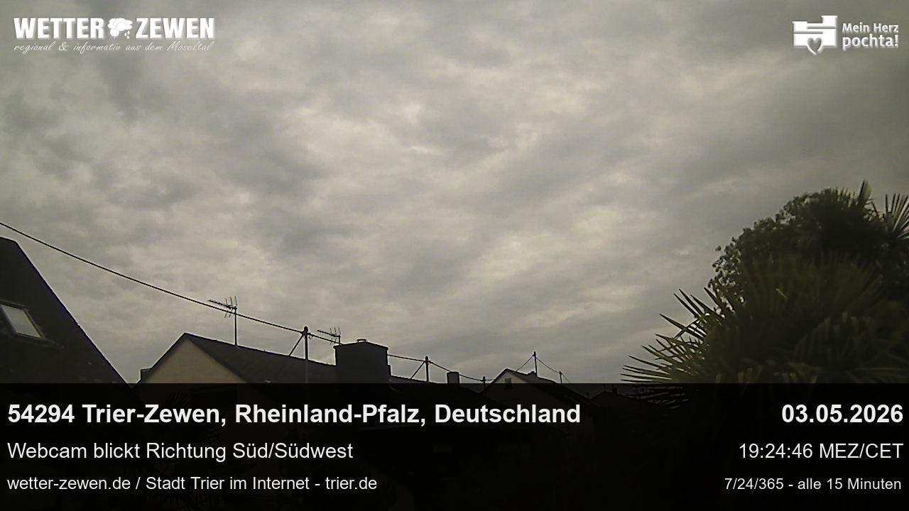 Bild