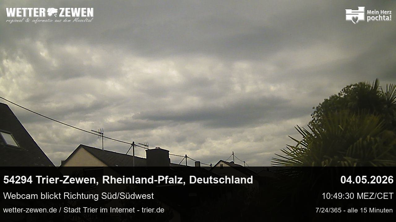Bild