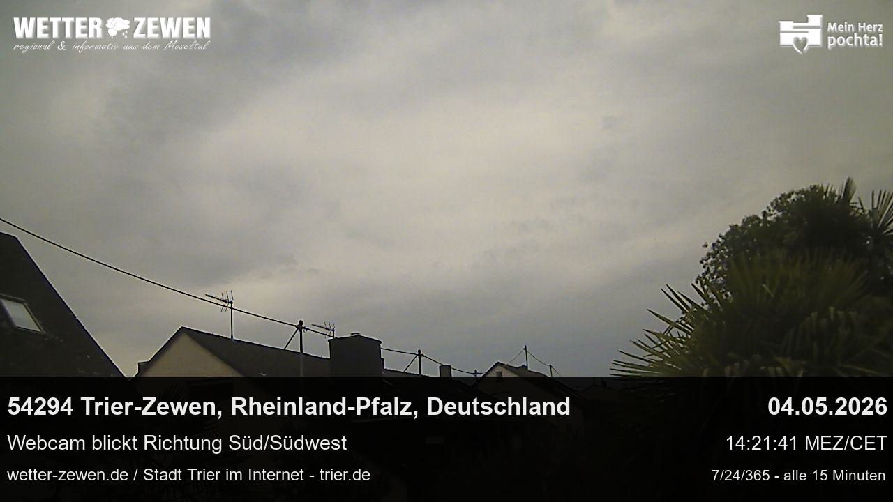 Bild