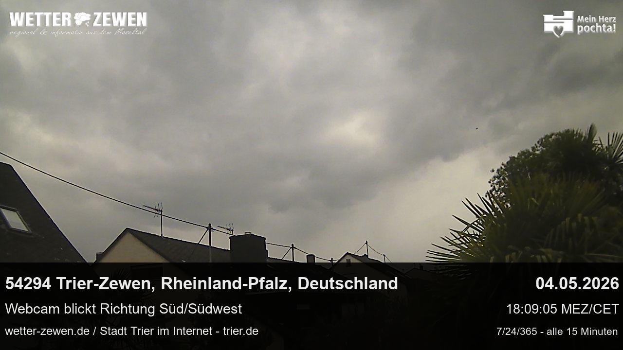 Bild