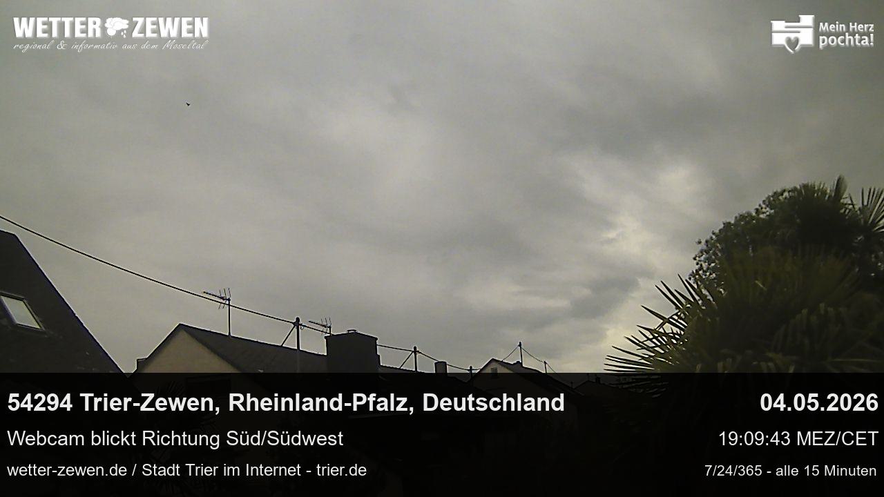 Bild