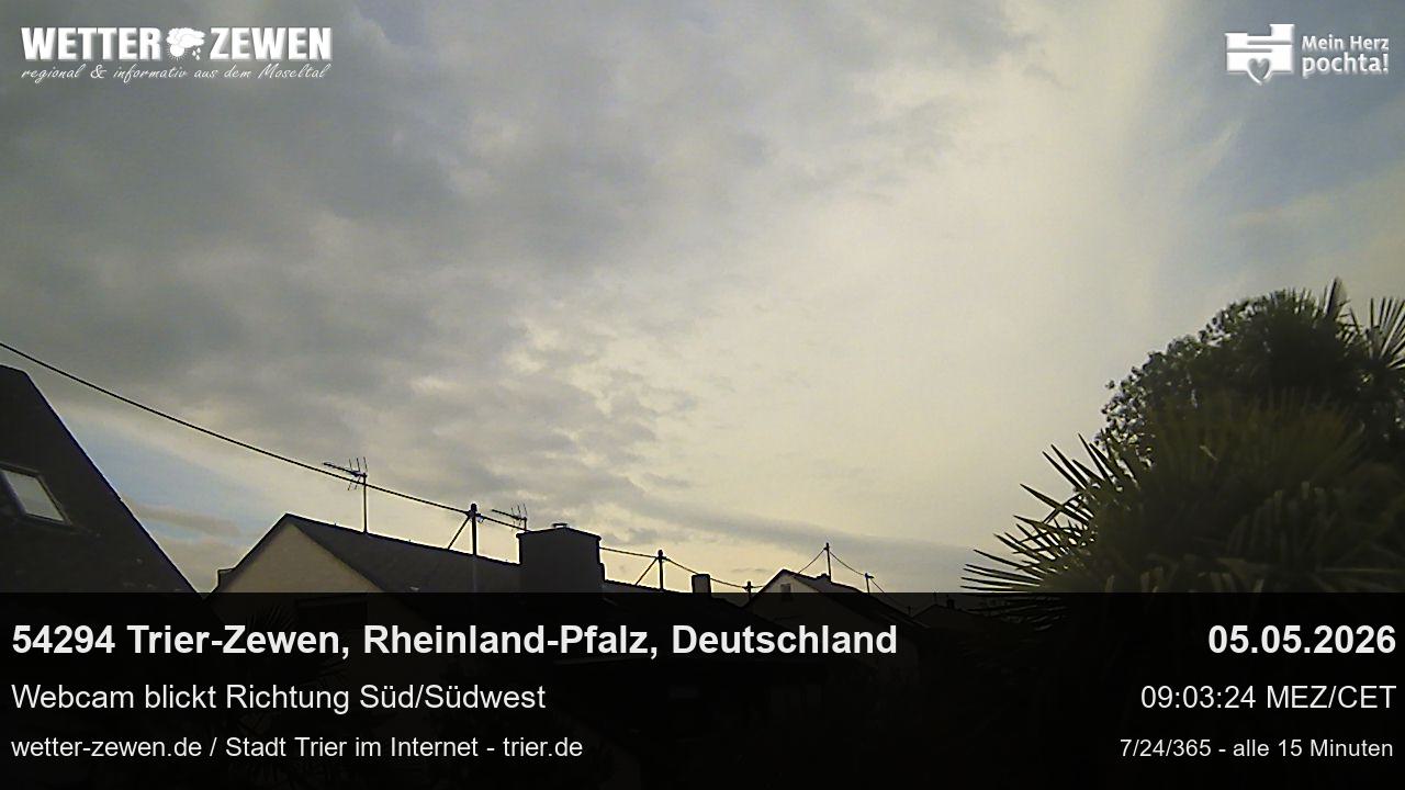 Bild